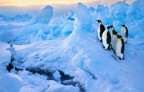 美麗南極 網(wǎng)絡(luò)圖片 森盛隆阻垢劑小編配圖